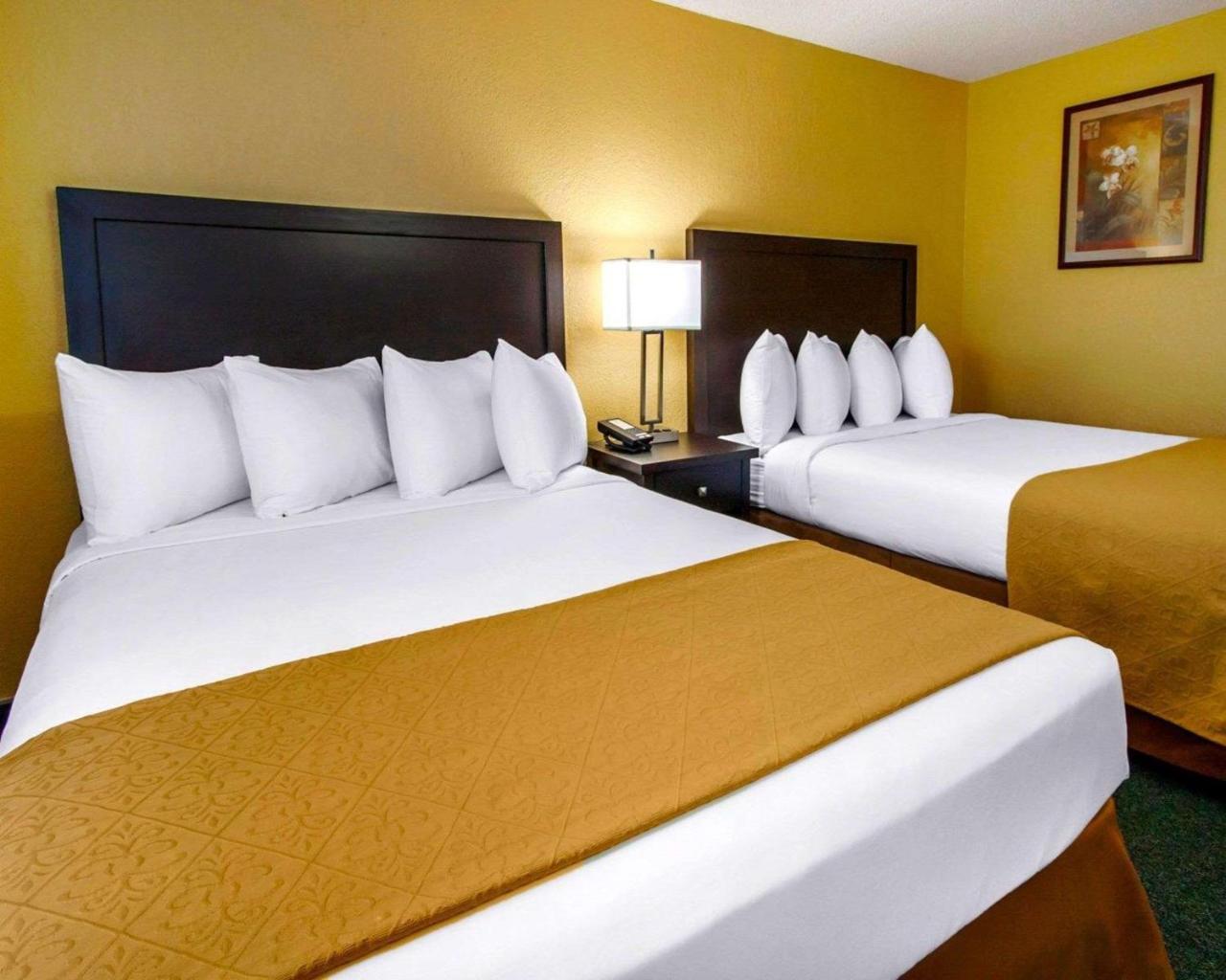 Quality Inn & Suites Springfield Exteriör bild
