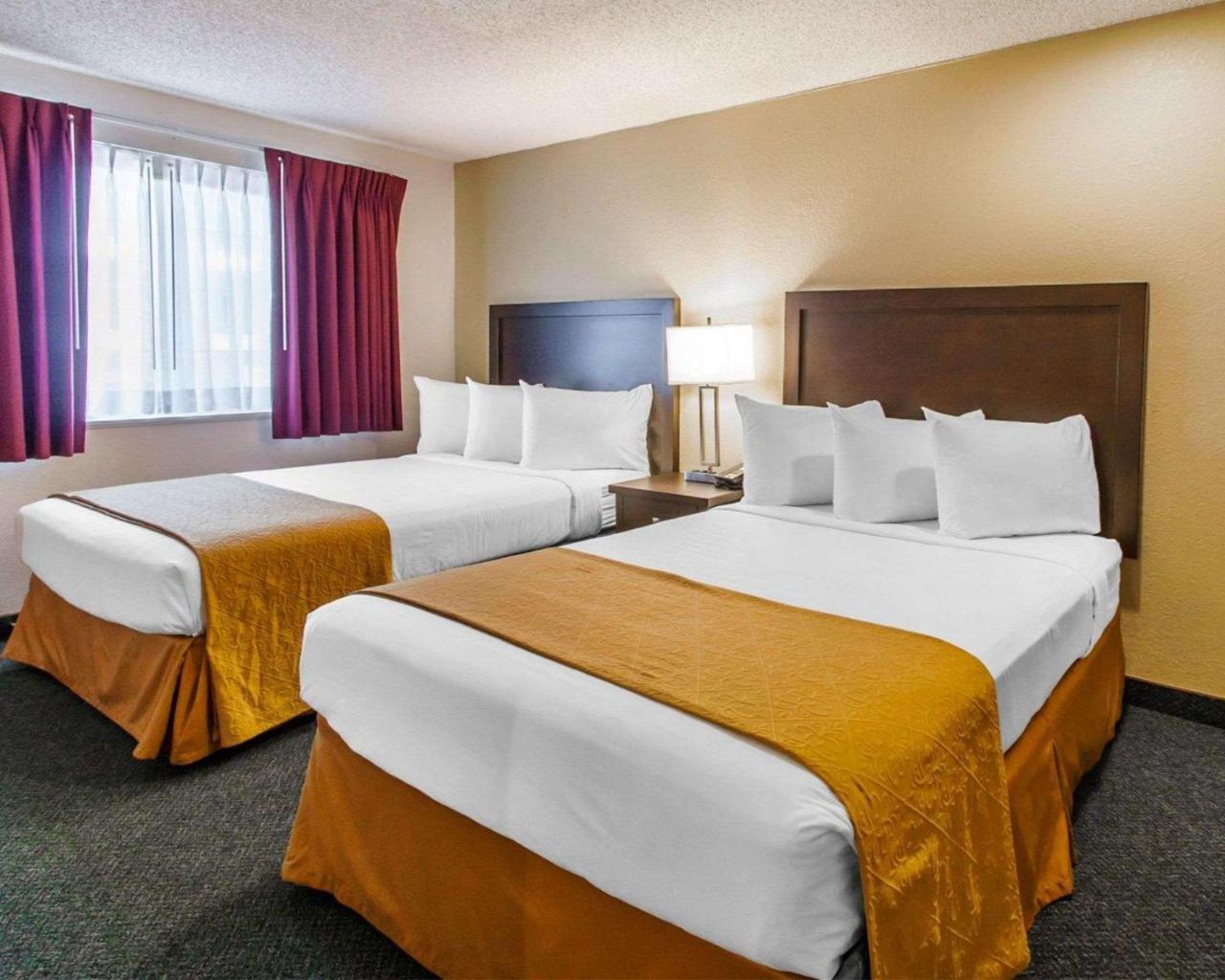 Quality Inn & Suites Springfield Exteriör bild